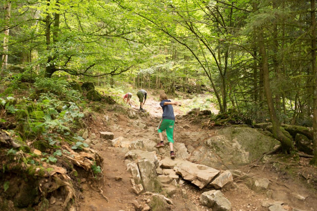 Europe Tents Camping Domaine Des Messires Herpelmont Екстер'єр фото